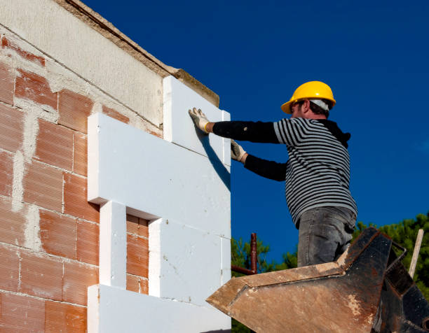 Best Insulation Contractor Near Me  in Baldn, WI