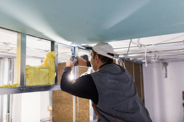 Best Residential Insulation Services  in Baldn, WI