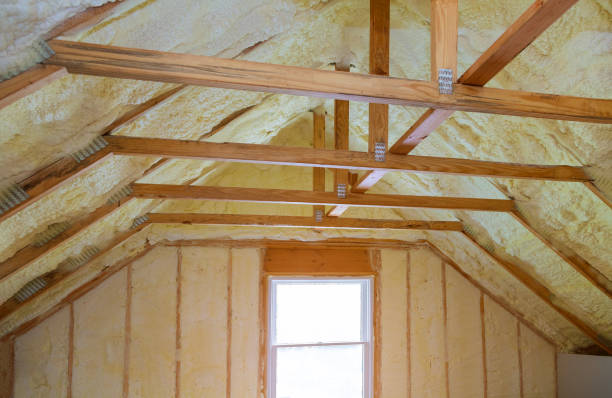 Best Local Insulation Services  in Baldn, WI