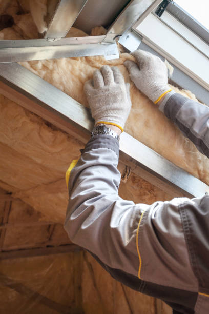 Best Wall Insulation Contractor  in Baldn, WI