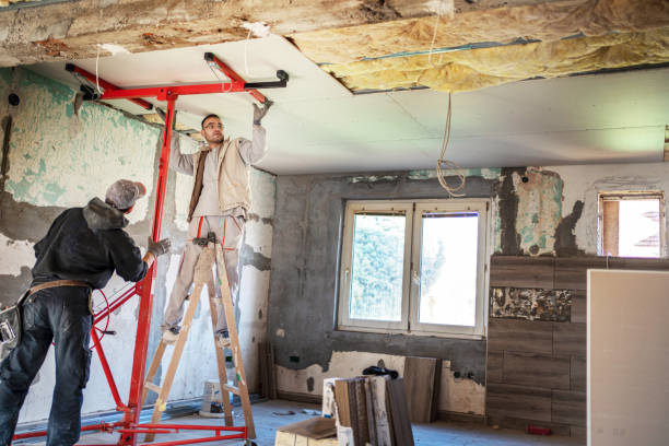 Best Insulation Replacement Services  in Baldn, WI